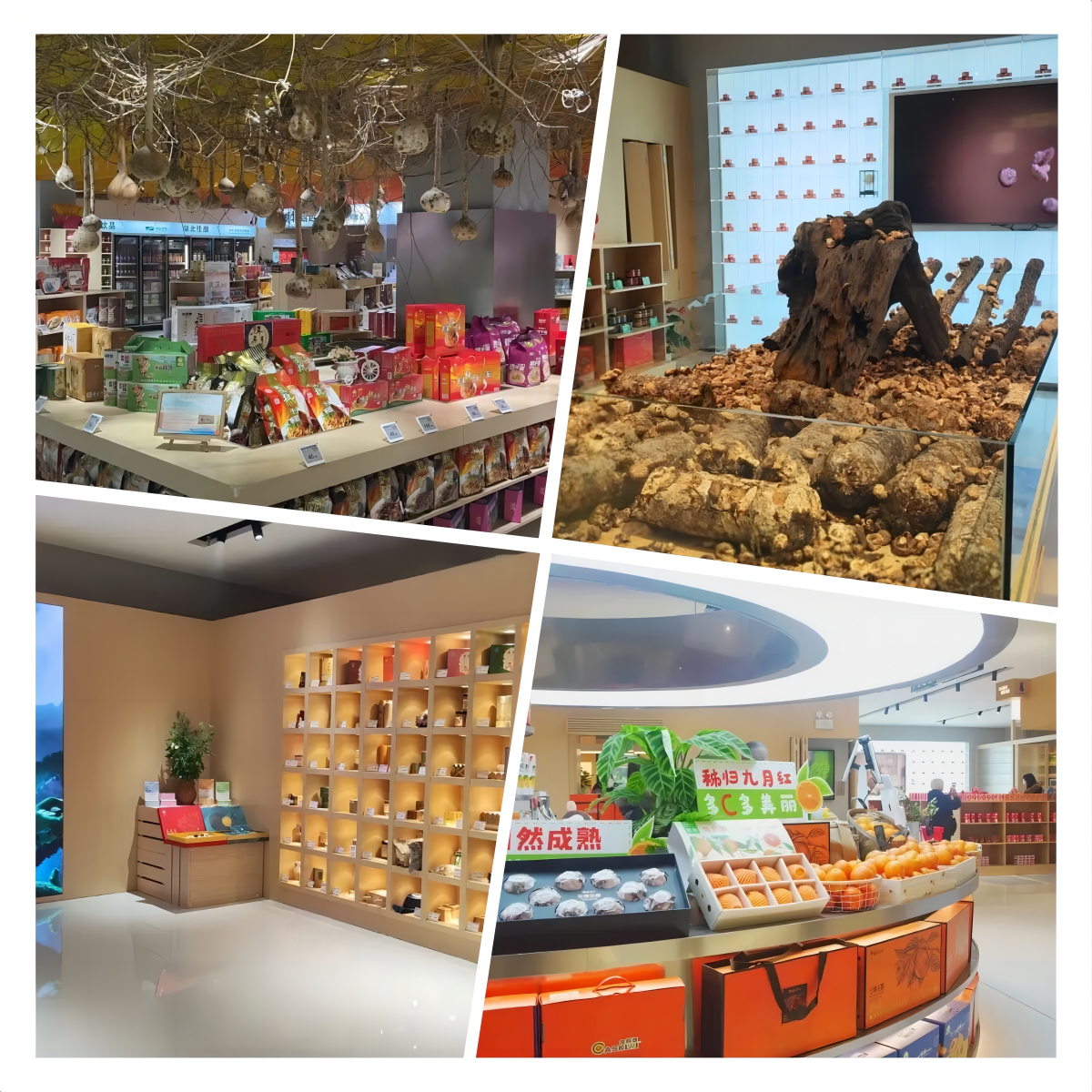 拉斯维加斯游戏·(中国)官方网站